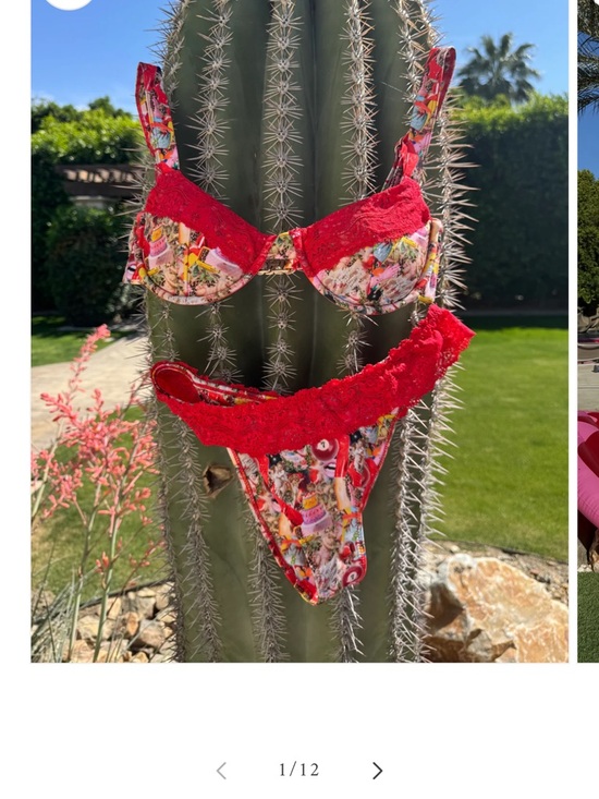Strawberry Milk Mob Other - Strawberry Milk Mob Red Floral Lace Bikini Set
